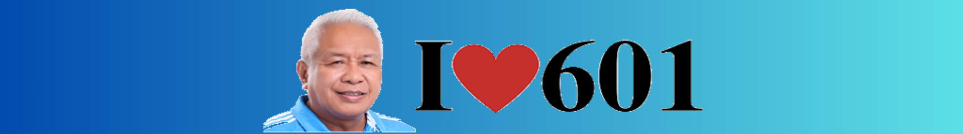 BARANGAY LINIS KO Barangay IT System